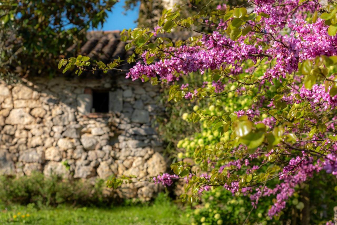 La Maison De Yuka Plieux Eksteriør bilde